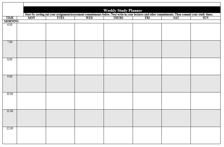 Study Schedule Template 10