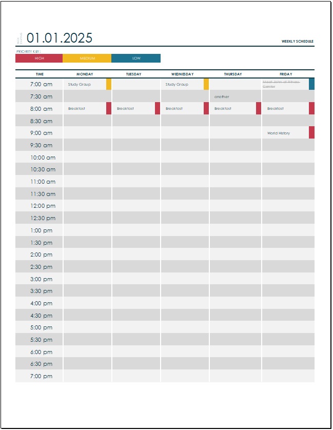 Study Schedule Template 12