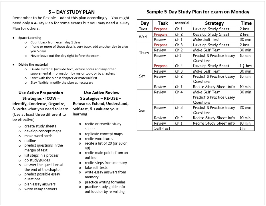 Study Schedule Template 16
