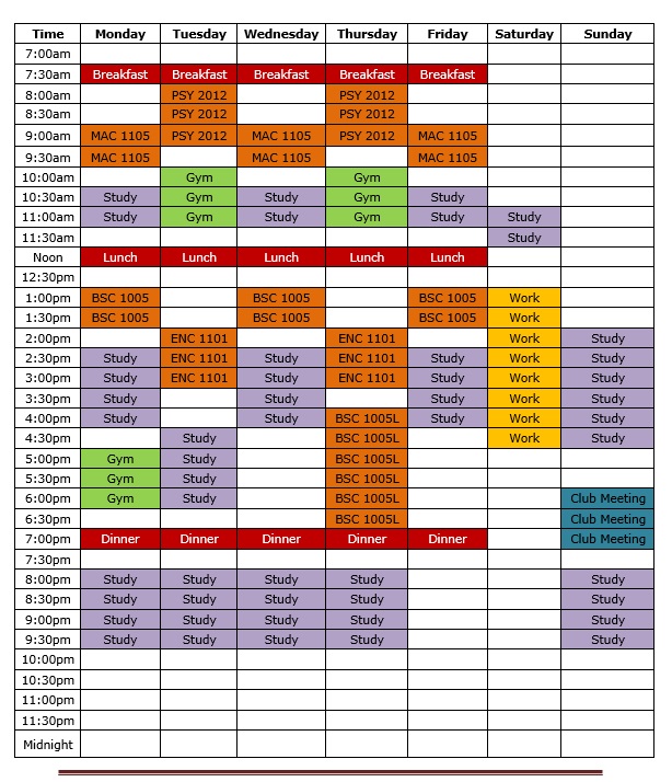 Study Schedule Template 25